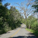 DSC05112
