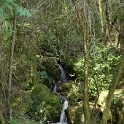 DSC05119