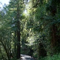 DSC05145