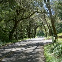 DSC05151