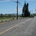 DSC05155