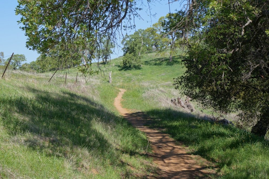 DSC08253