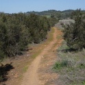 DSC08287