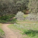 DSC08306