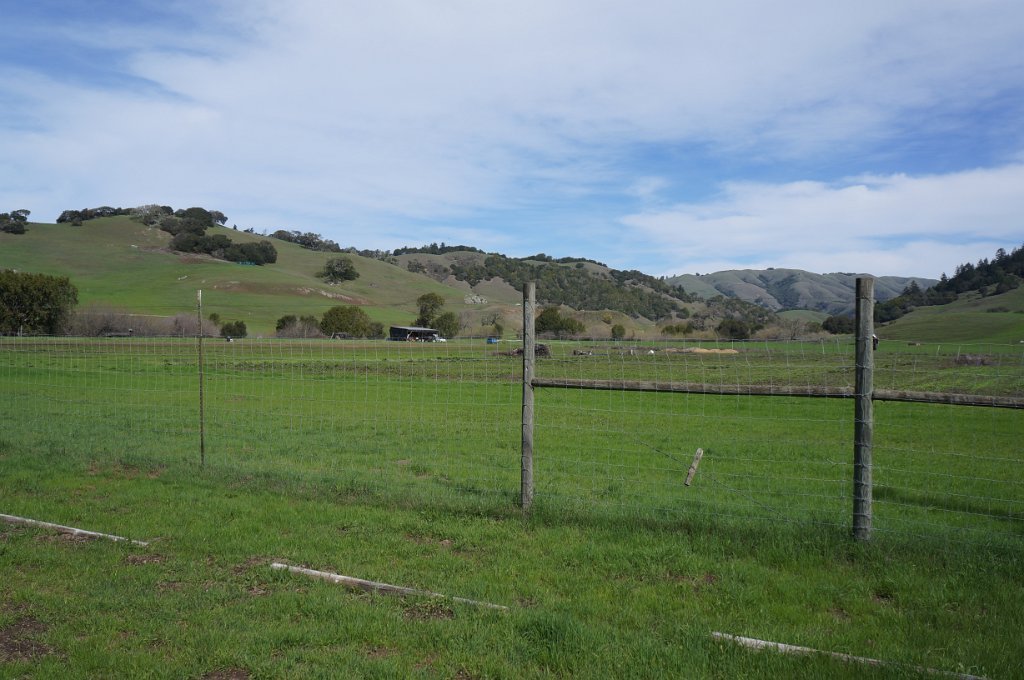 DSC07993