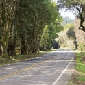 DSC07980