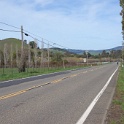 DSC07981