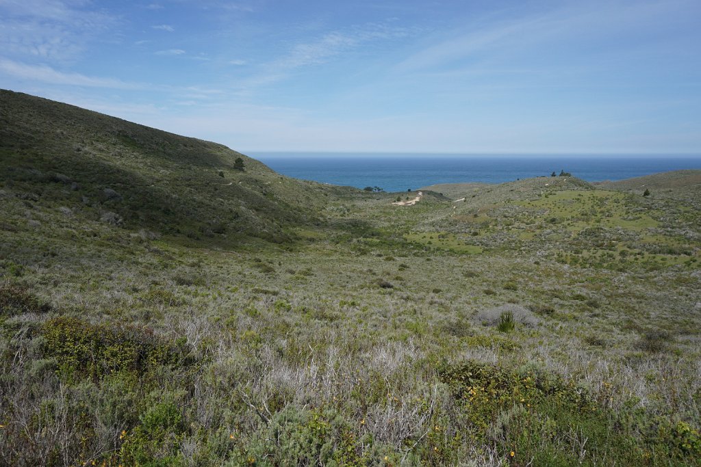 DSC02702