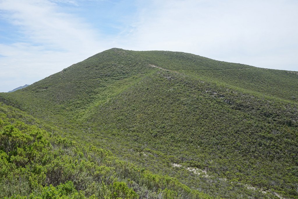 DSC02762