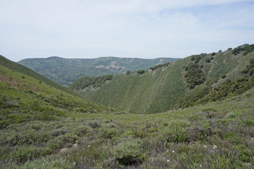 DSC02780