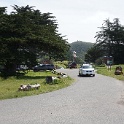 DSC02671