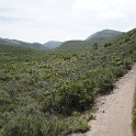 DSC02690