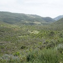 DSC02699