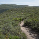DSC02701