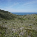 DSC02702