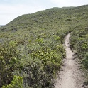 DSC02705