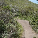 DSC02706