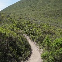 DSC02716