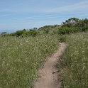 DSC02720