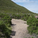 DSC02726