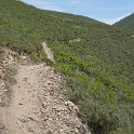 DSC02743