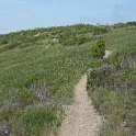 DSC02752