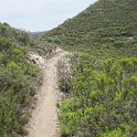 DSC02764
