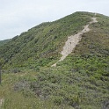 DSC02778