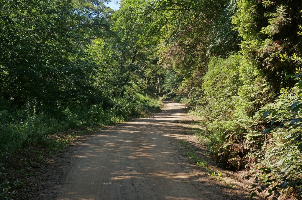 DSC02370