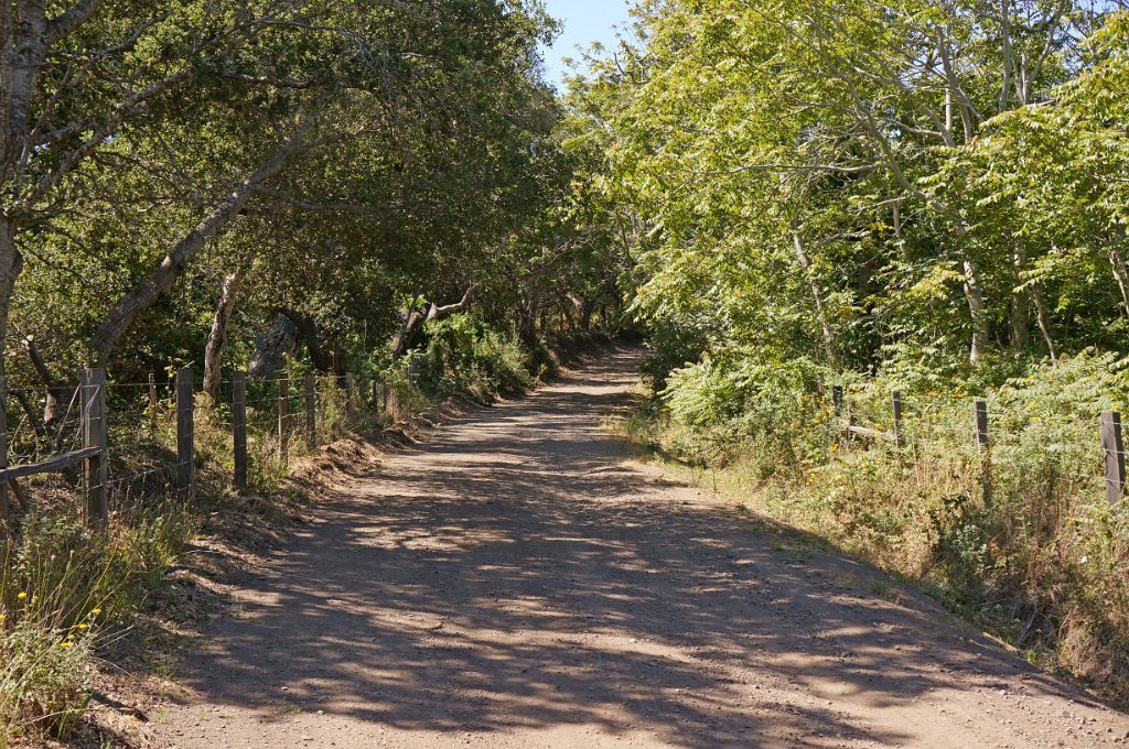 DSC02415