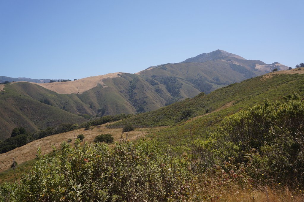 DSC02424