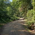 DSC02370