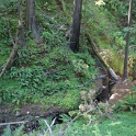 DSC02379