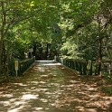 DSC02395