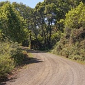 DSC02413