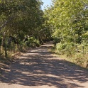 DSC02415