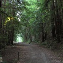 IMG_0915