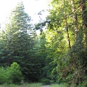 IMG_0916