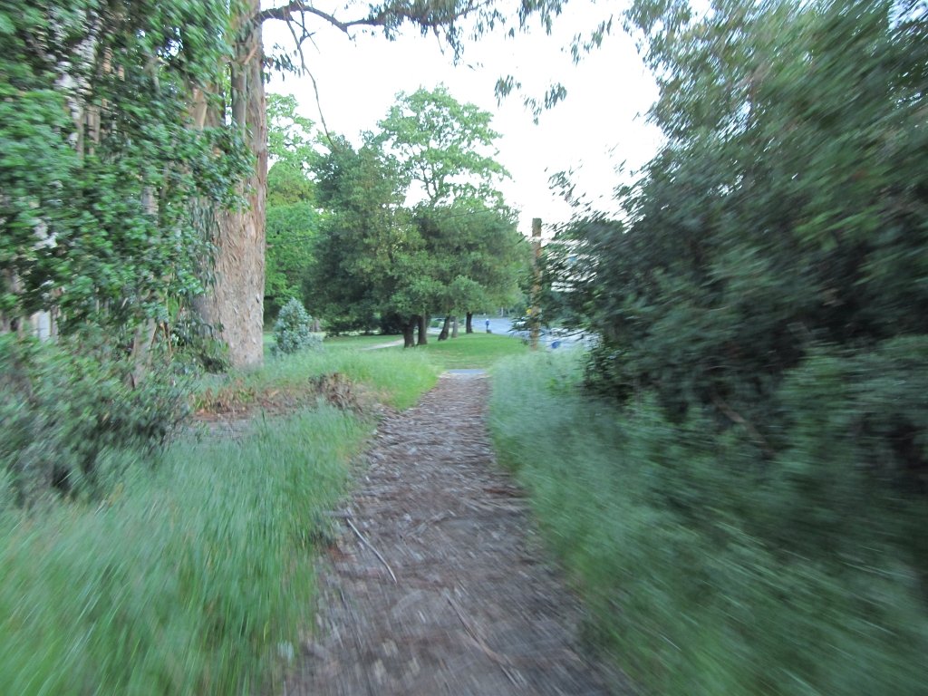 IMG_0491