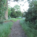 IMG_0491