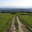 IMG_0524