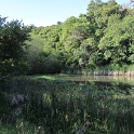 IMG_0536
