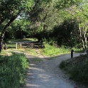 IMG_0540