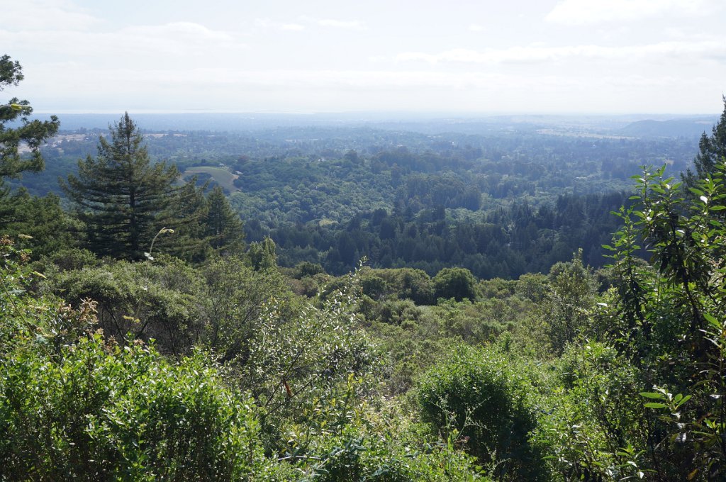 DSC05527