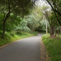 DSC05485