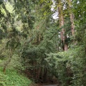 DSC05486