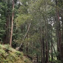 DSC05487