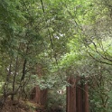 DSC05489