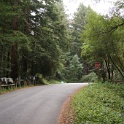DSC05495