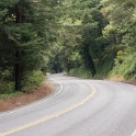 DSC05497
